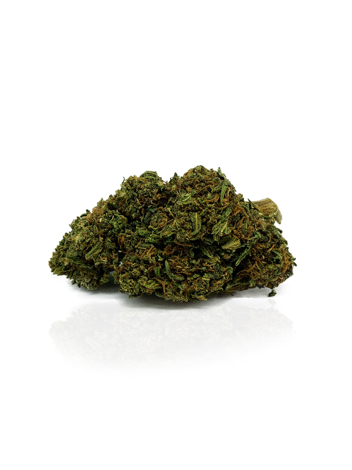 Malibu Exotic - The Hemp Concept