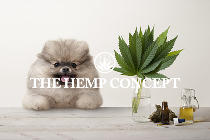 Le CBD et les animaux.